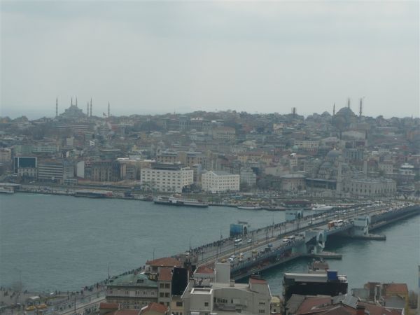 P1020340.jpg