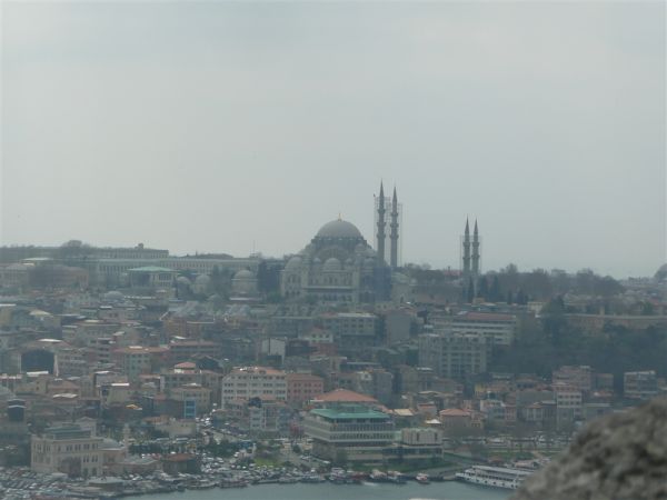 P1020341.jpg