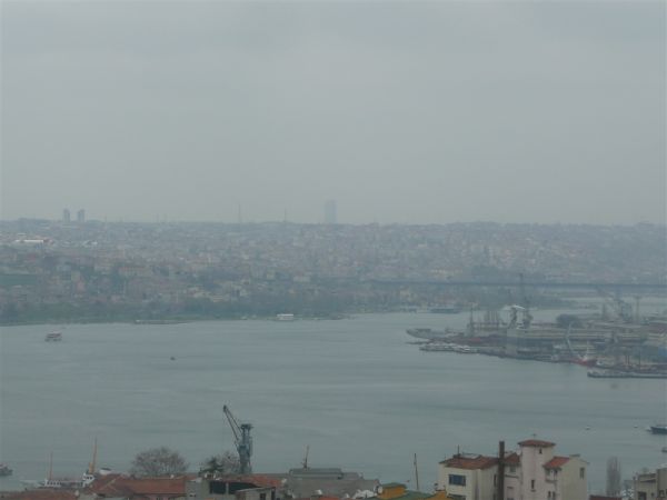 P1020345.jpg