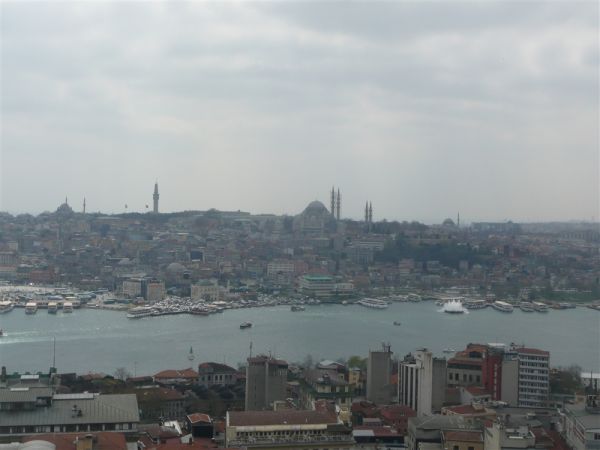 P1020346.jpg