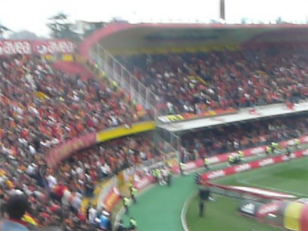 P1020373.jpg
