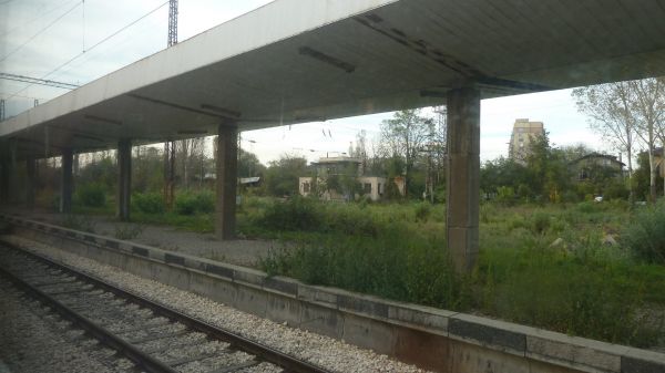 P1020654.jpg