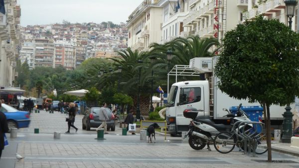 P1020740.jpg