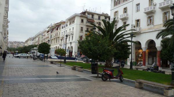P1020741.jpg
