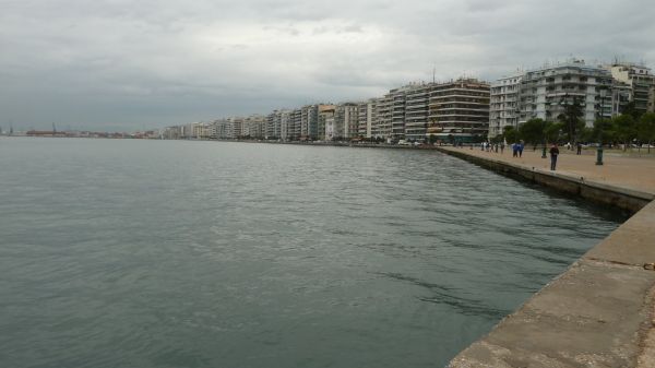 P1020757.jpg