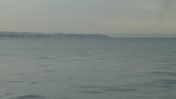 P1020793.jpg