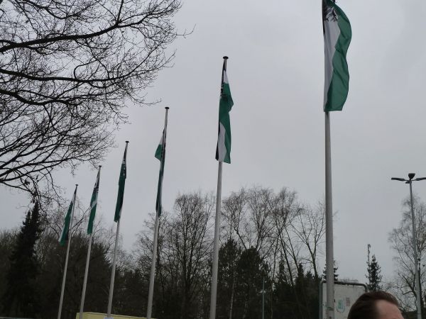 P1030033.jpg