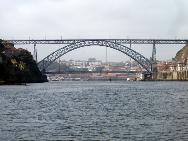 P103015661.jpg