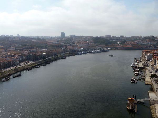 P103016772.jpg