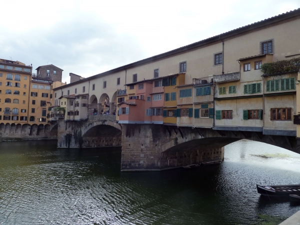 P1030214.jpg