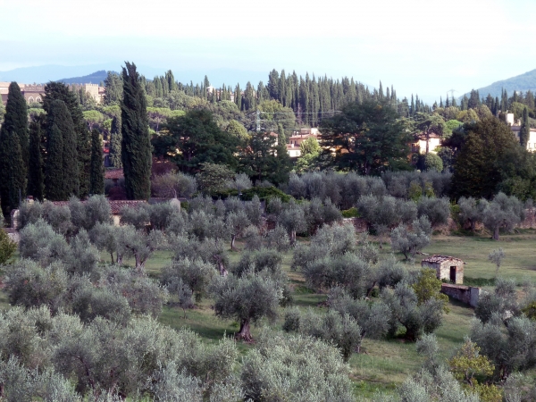 P1030251.jpg