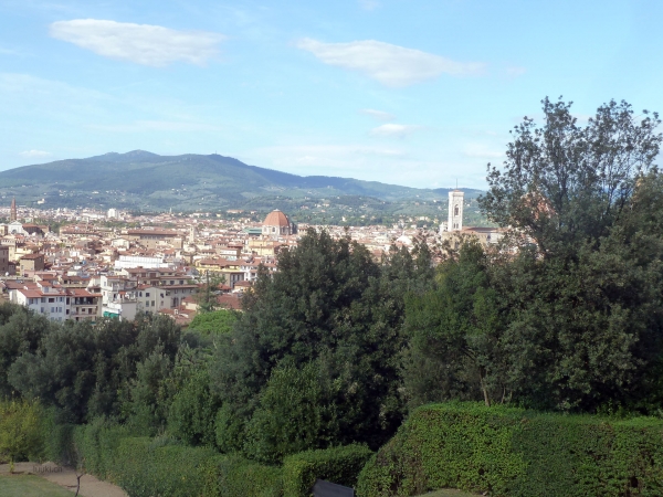 P1030255.jpg