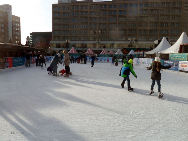 P1030344.jpg