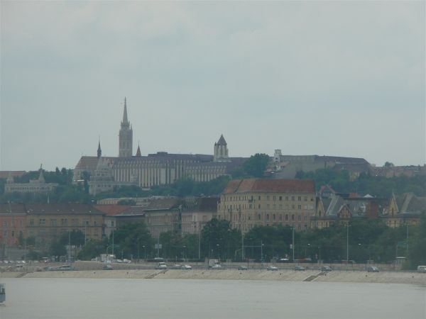 P1030541.jpg