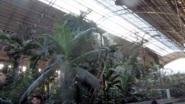 P1030559~0.jpg