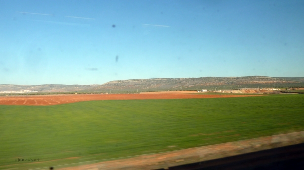 P1030568.jpg