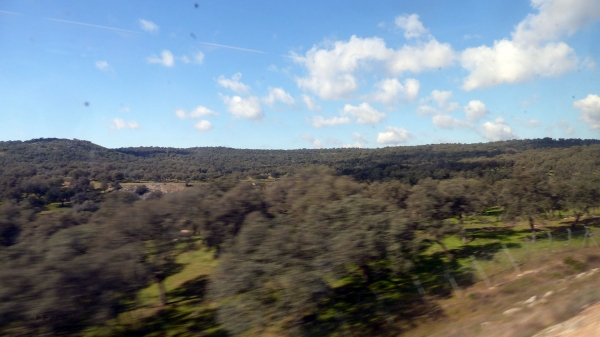 P1030570~0.jpg