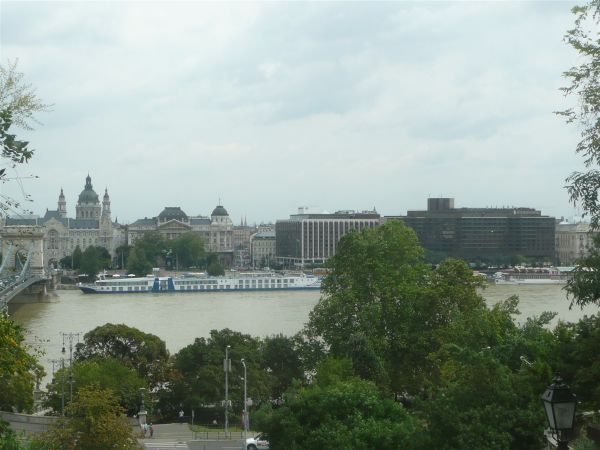 P1030571.jpg