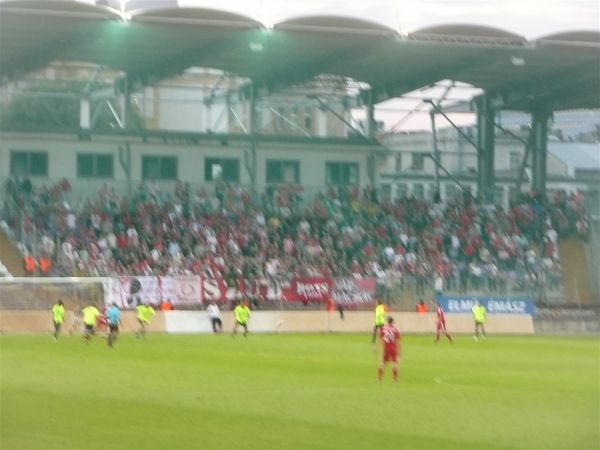 P1030598.jpg