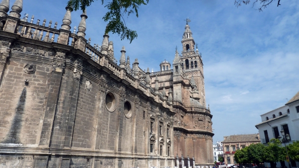 P1030602~0.jpg