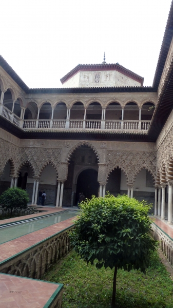 P1030615.jpg