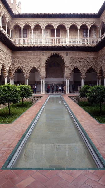 P1030625.jpg