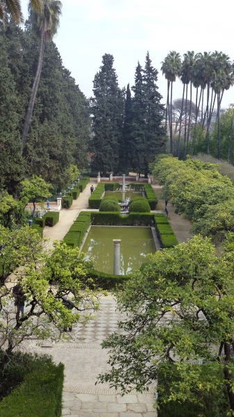 P1030653.jpg