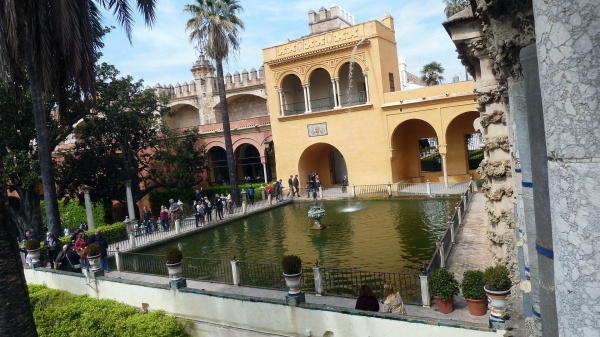 P1030656.jpg