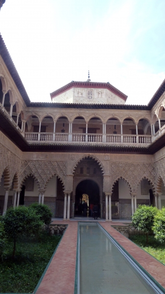 P1030667.jpg