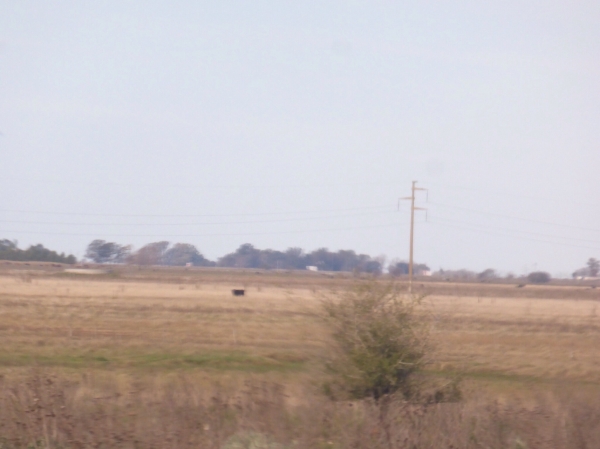 image~254.jpg