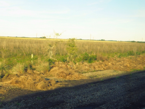 image~258.jpg