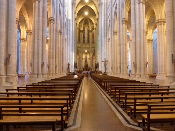image~316.jpg