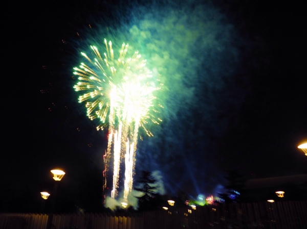 image~470.jpg