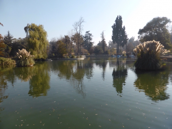 image~618.jpg