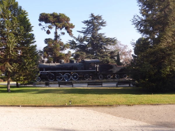 image~626.jpg