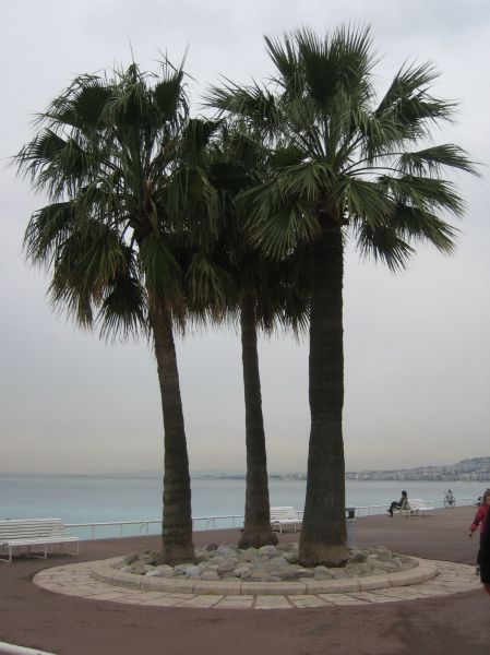 monaco016.JPG
