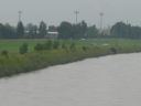 Lustenau_Juli_02_003.jpg