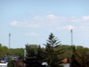P1000280gross.jpg