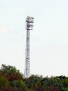 P1000281gross.jpg