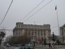 P1000669.jpg