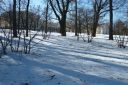 P1020035.jpg