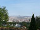 P1020310.jpg