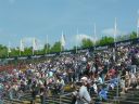 P1020464.jpg