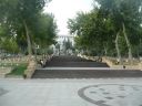 P1020925_800x600.JPG