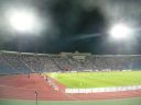 P1020978_800x600.JPG