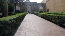 P1030604~0.jpg