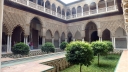 P1030616.jpg