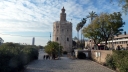 P1030677.jpg