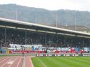 fcz_011.jpg
