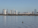 image~101.jpg